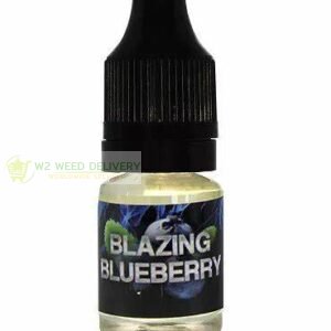 Blazing Blueberry Liquid Incense 5ml