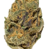 Agent Orange Marijuana Strain