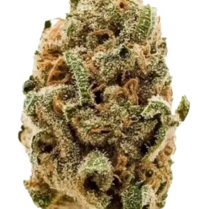 Durban poison strain