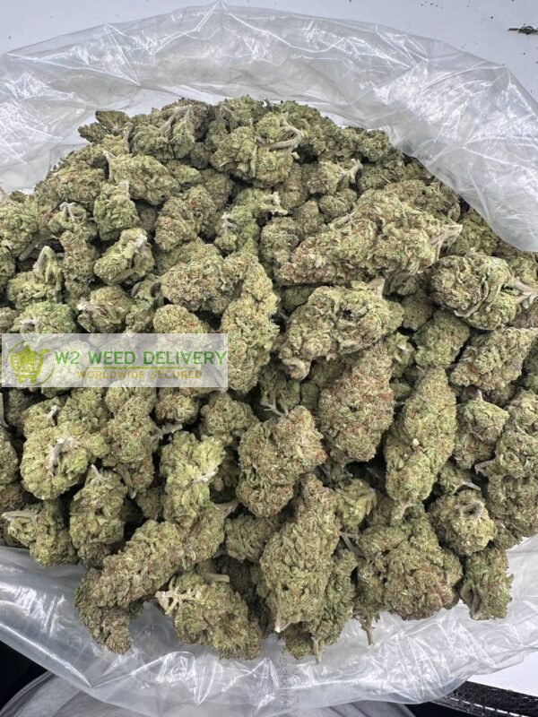 buy ak 47 marijuana weed ONLINE