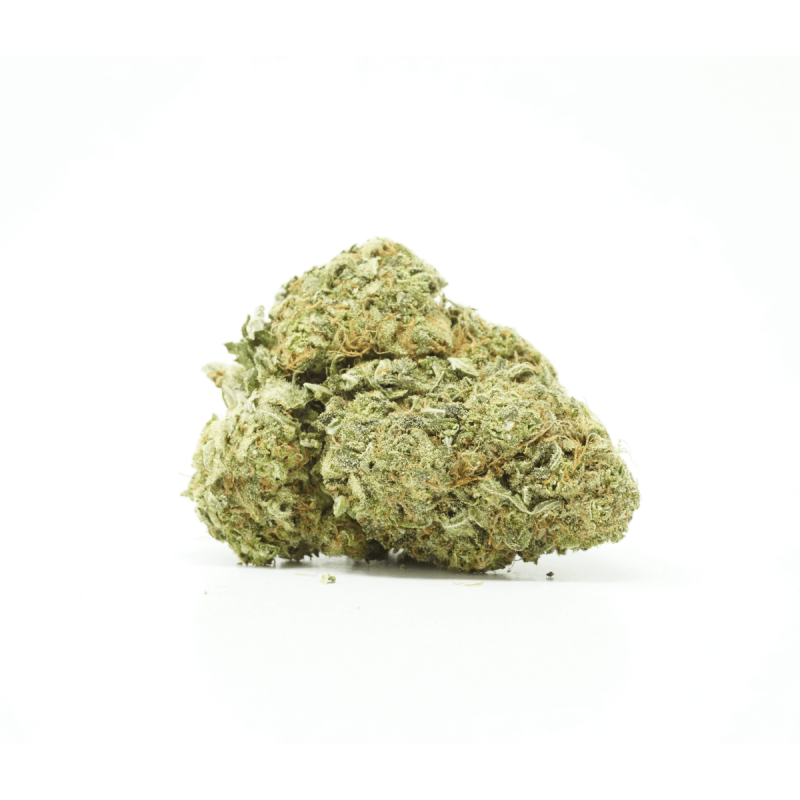 BruceBanner2 Buy bruce banner strain