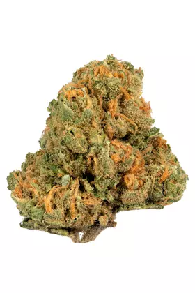 Jack herer strain for sale Jack herer strain for sale