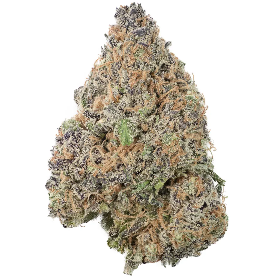 Jack-the-Ripper buy Jack the Ripper strain