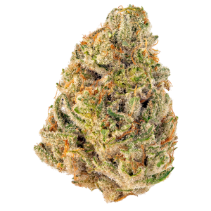 Buy clementine strain online