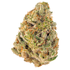 Triangle Kush strain for sale