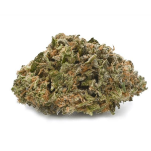 Black D.O.G. Strain (AAAA)