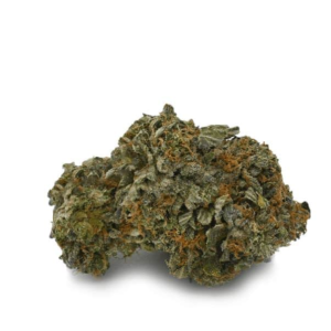 Lindsay OG Strain (AA)