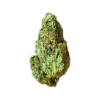 Galileo Kush for Sale Near Me