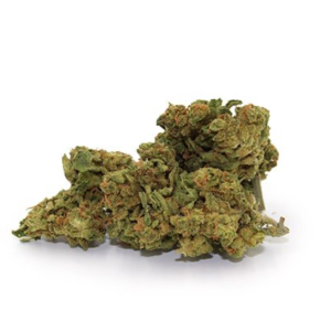 Purple Kush Strain (AAA)