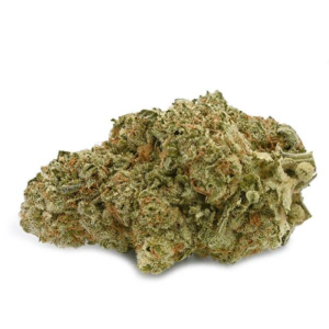 Buy Papaya Punch Strain (AAAA)