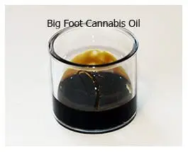 Big Foot Cannabis Oil