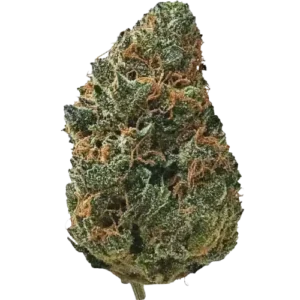 Bubblegum Gelato Strain