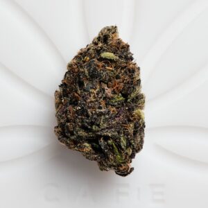 Han Solo Burger Weed Strain