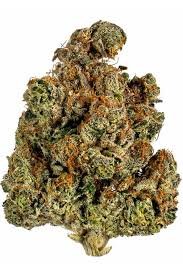Looking to Buy Trainwreck Strain? Discover the best deals on Trainwreck Strain cannabis right here. Read our Trainwreck Strain effects and review, explore the high Trainwreck THC levels and profile, and Order Trainwreck Strain online for a premium, fast-hitting experience.