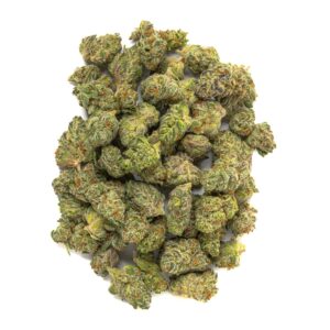 White Truffle Strain