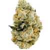 Looking to Buy Krypto Chronic Strain? Discover the Best place to buy Krypto Chronic Strain online for premium quality, potent THC levels, and fast shipping. Buy Krypto Chronic Strain USA online today!