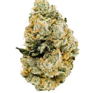Looking to Buy Krypto Chronic Strain? Discover the Best place to buy Krypto Chronic Strain online for premium quality, potent THC levels, and fast shipping. Buy Krypto Chronic Strain USA online today!