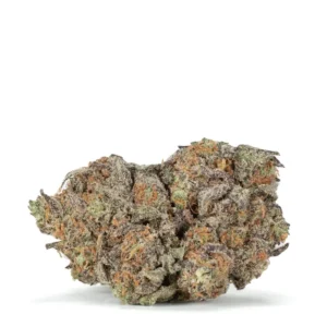 Looking to Buy Lava Cake Strain? Discover our high quality Lava Cake Strain for sale. Experience the ultimate relaxation and sweet chocolate notes today. Order Lava Cake Strain online for fast, discreet shipping.
