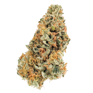 Peach Crescendo Strain