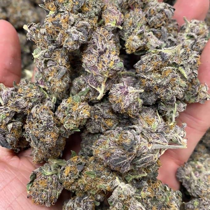 Northern Lights Strain